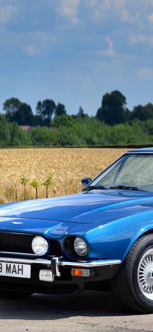 aston martin, v8, saloon, 1972, blue, side view, cars, nature