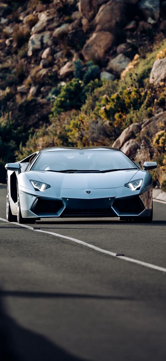 lamborghini aventador, lamborghini, sports car, car, gray, road, stones