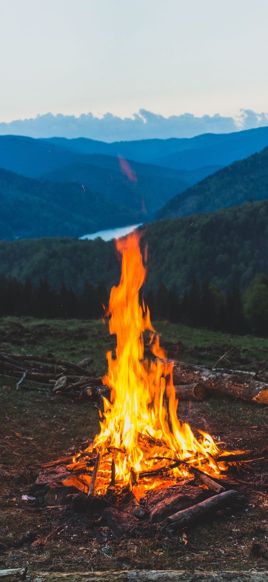 bonfire, logs, trees, forest, river, hills, landscape, nature