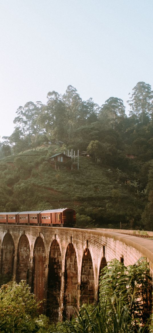 train, transport, bridge, nature, sri lanka