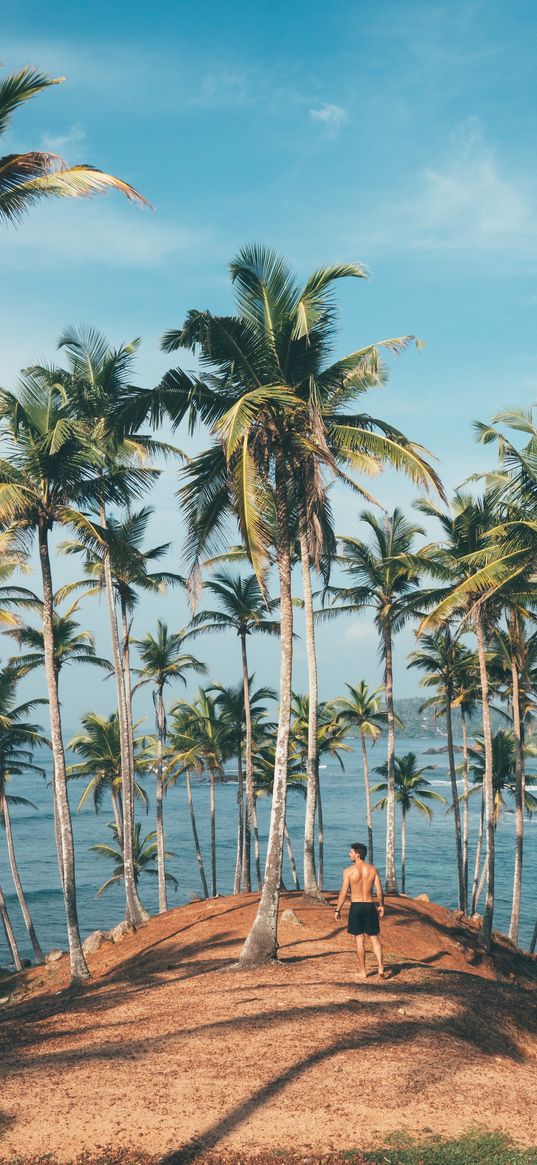 sea, island, palm trees, man, sri lanka