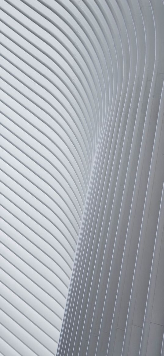 ribs, architecture, white, minimalism