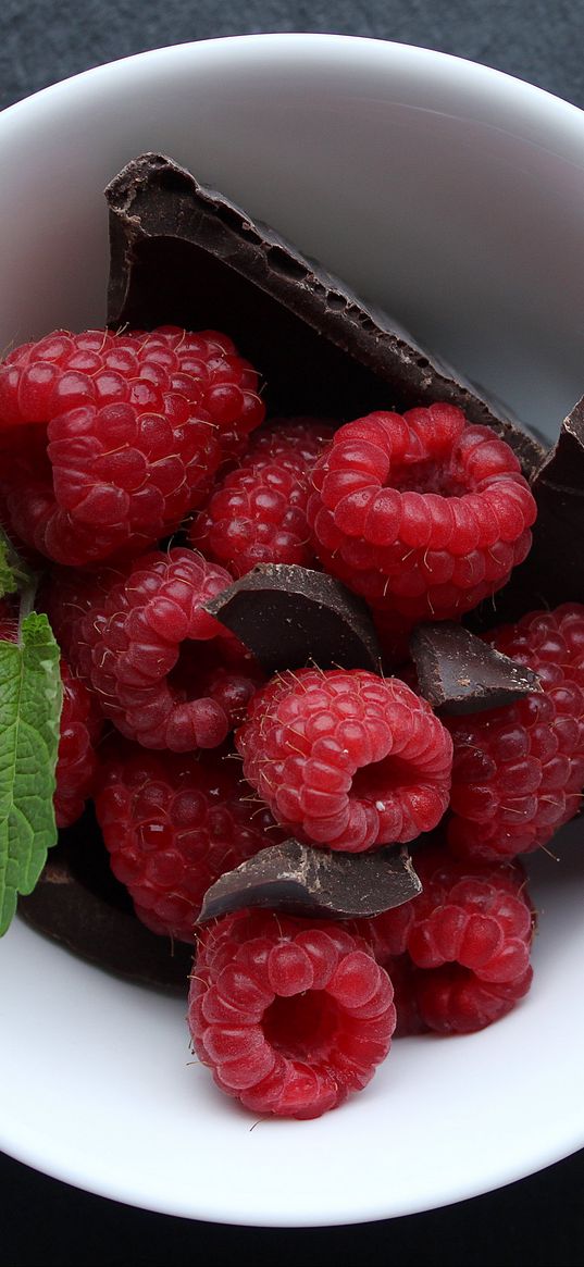 raspberries, berries, chocolate, mint, dessert