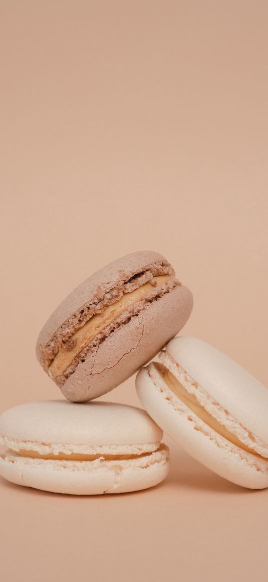 cookies, macaron, sweet, chocolate