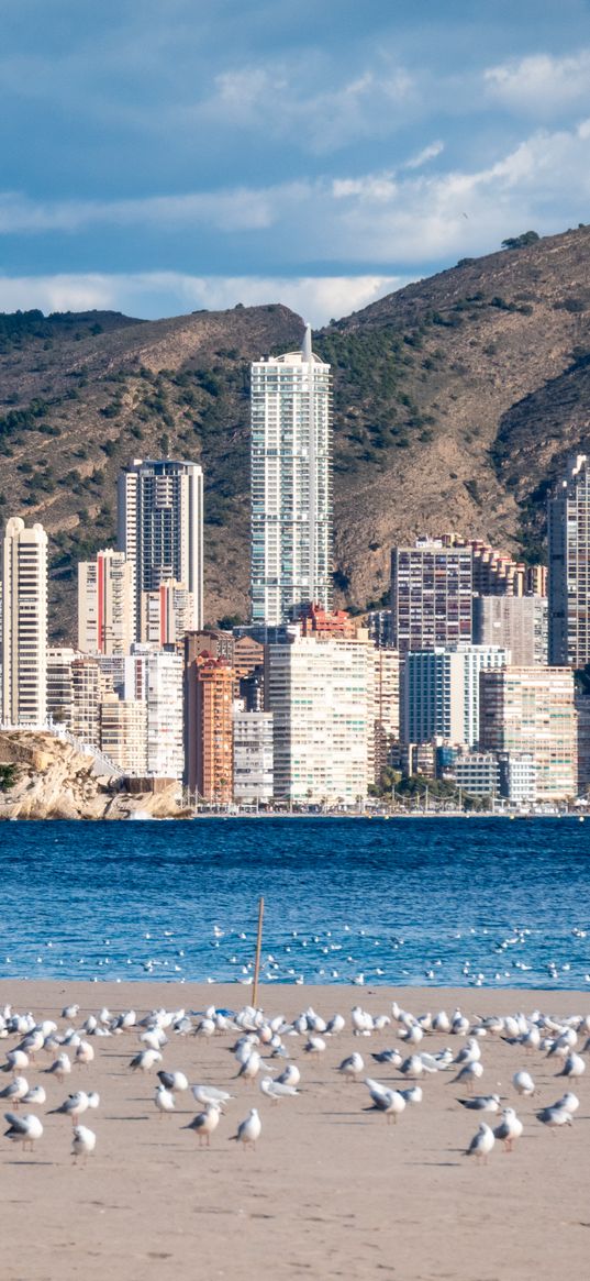 buildings, sea, coast, seagulls, mountains, city