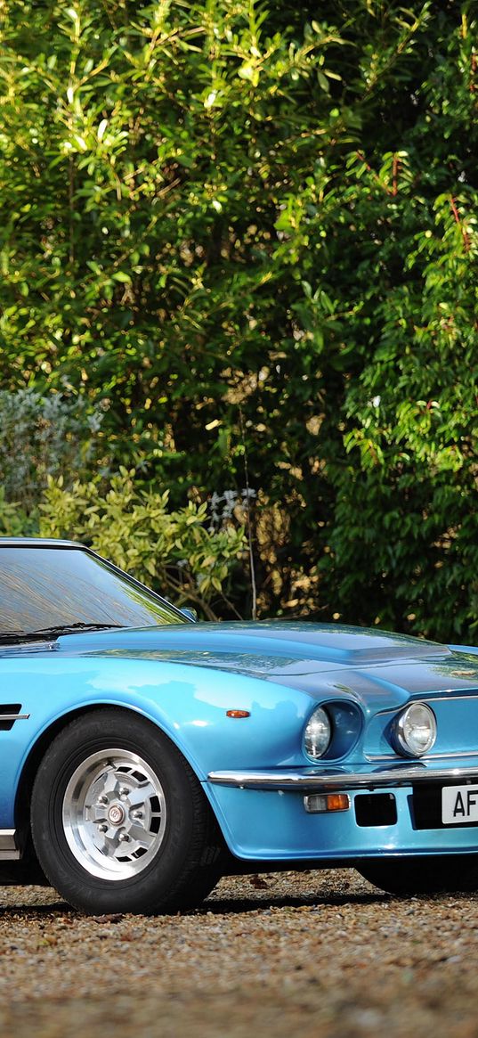 aston martin, v8, vantage, 1977, blue, side view, cars, trees