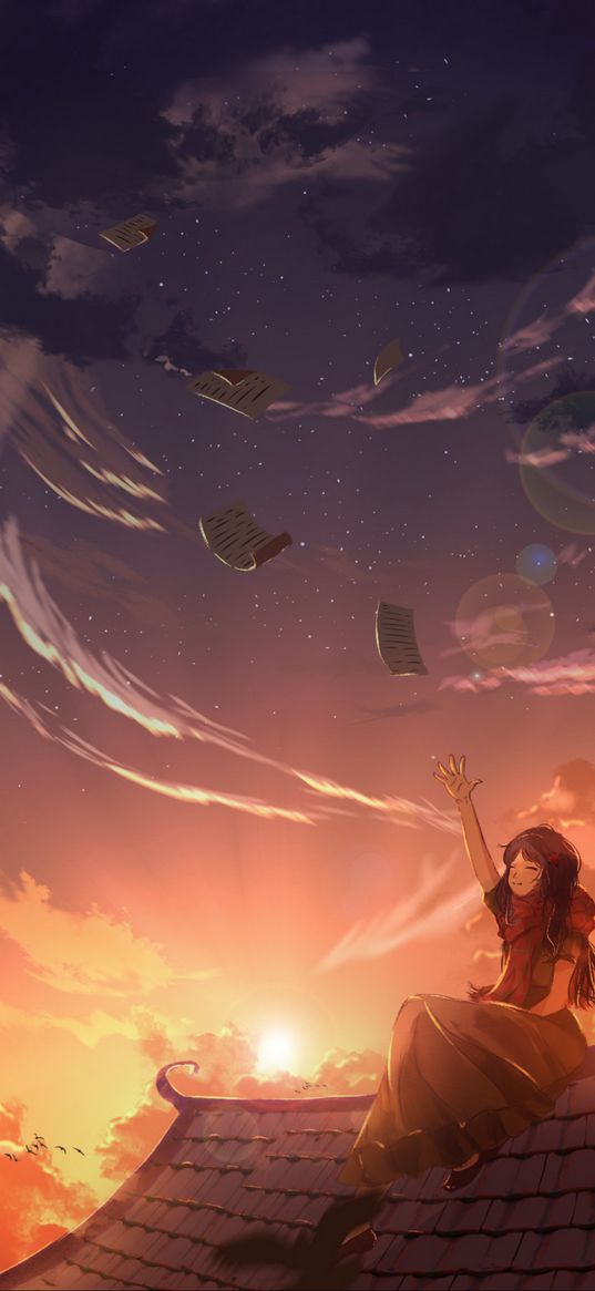 girl, roof, pages, happy, sun, sunset, sky, evening, anime, art