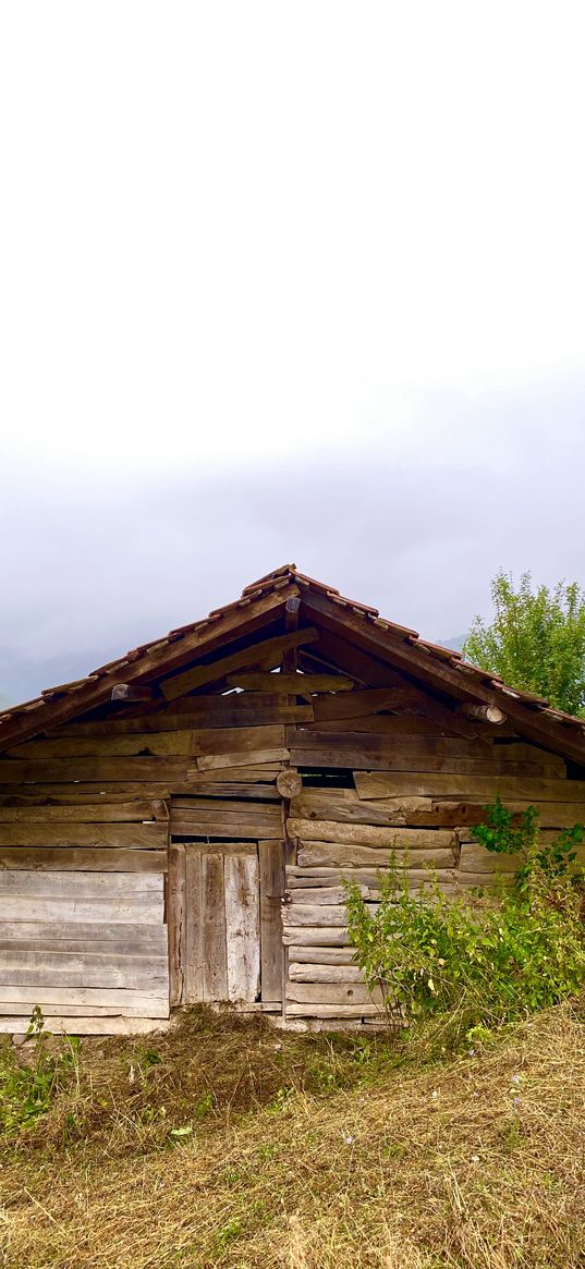 barn, house, trees, hills, fog, nature