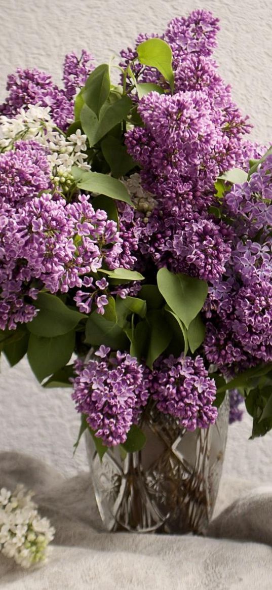 lilacs, bouquet, vase, spring, mood