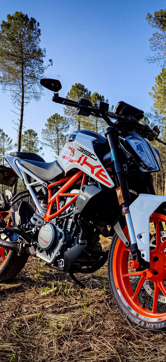 ktm, motorcycles, motorcycle, duke, 390, blue sky, tree, bike