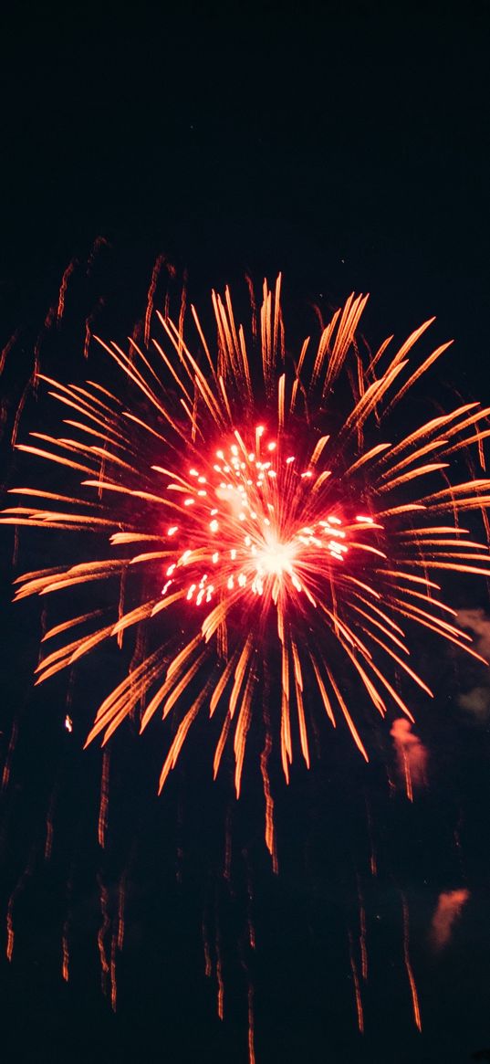 firework, fireworks, red, sky