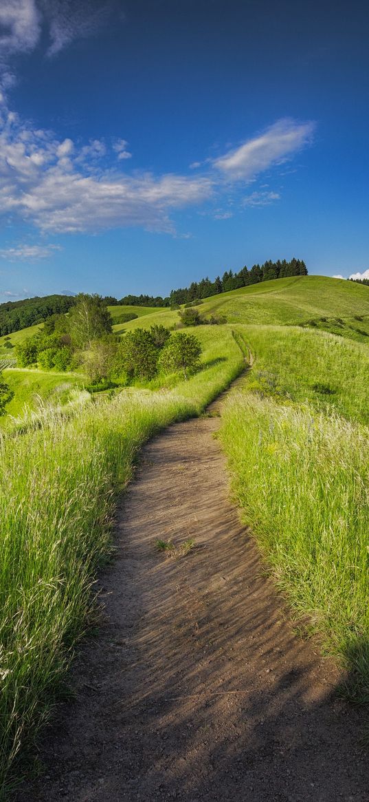 hills, meadows, trees, grass, green, trail