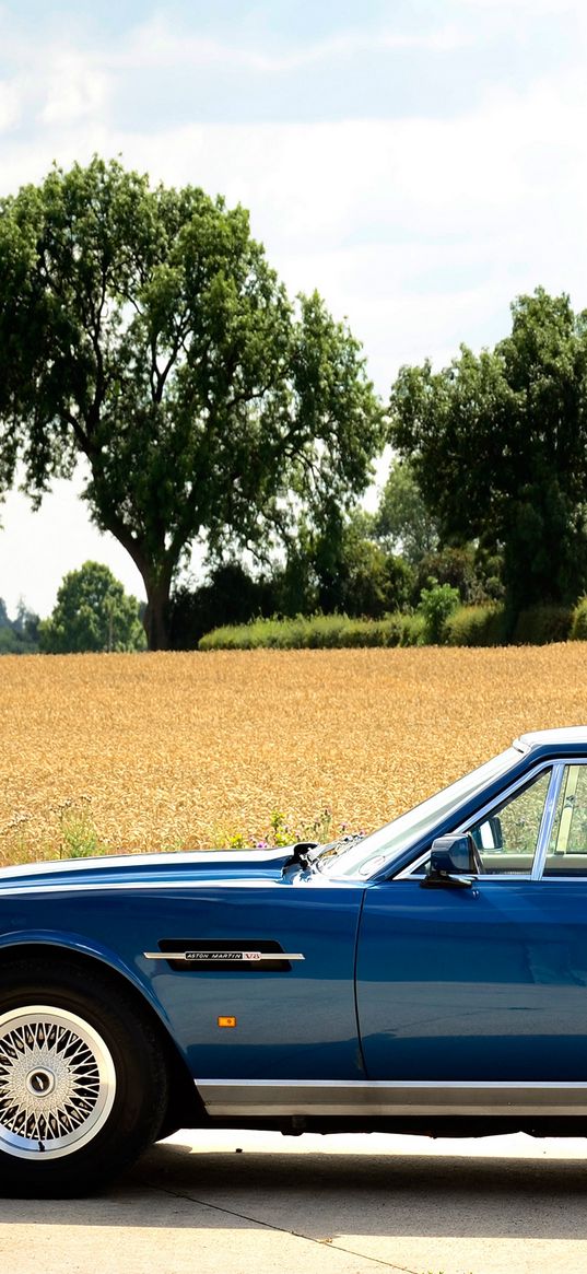 aston martin, v8, saloon, 1972, blue, side view, retro, trees