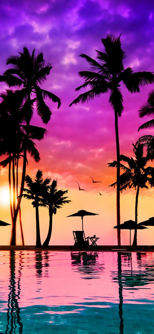 pool, water, chaise longue, umbrella, palm trees, silhouette, sunset, art