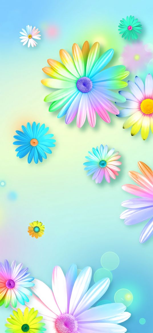 daisies, flowers, colorful, bokeh, art