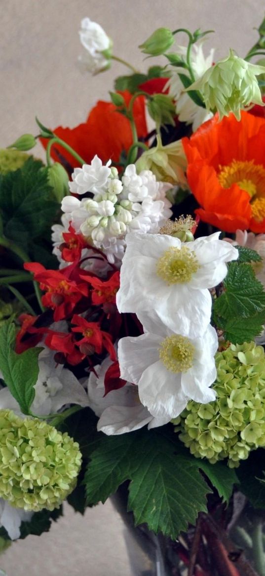 daffodils, hydrangea, poppies, lilacs, bouquet, composition, vase