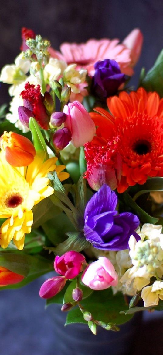 gerberas, tulips, flowers, bouquets, composition, design