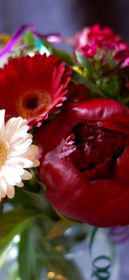 gerbera, peony, bud, flower, bouquet, decoration