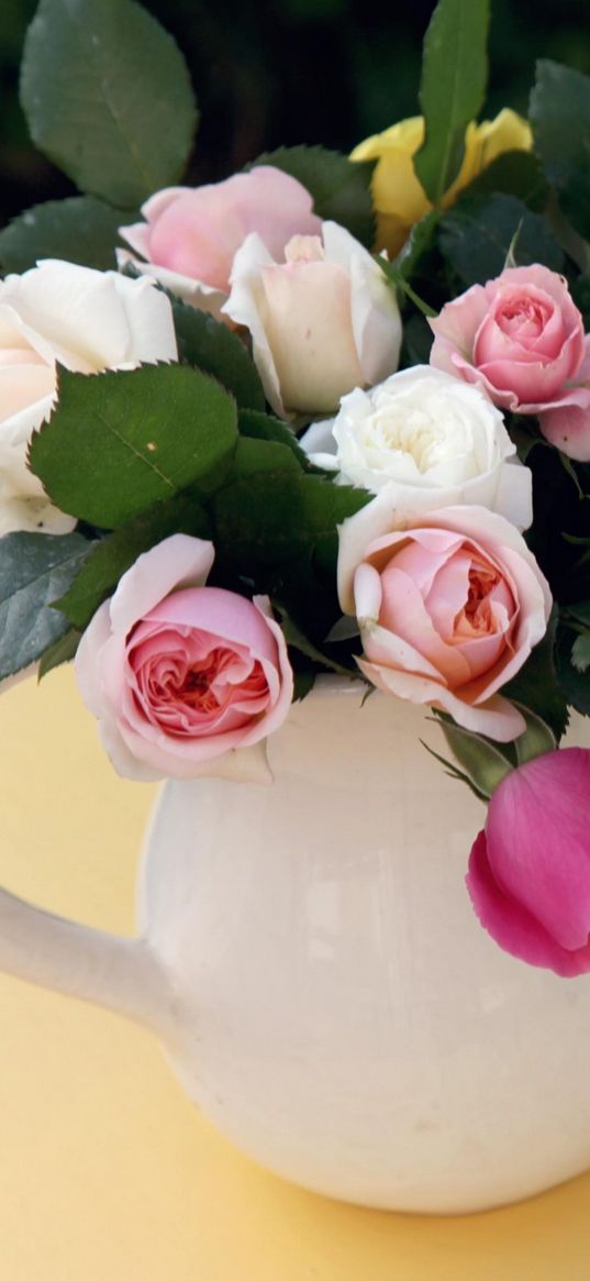 roses, flowers, flower, pitcher, table