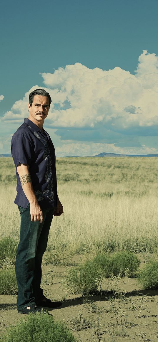 lalo salamanca, better call saul, breaking bad, tv series, character