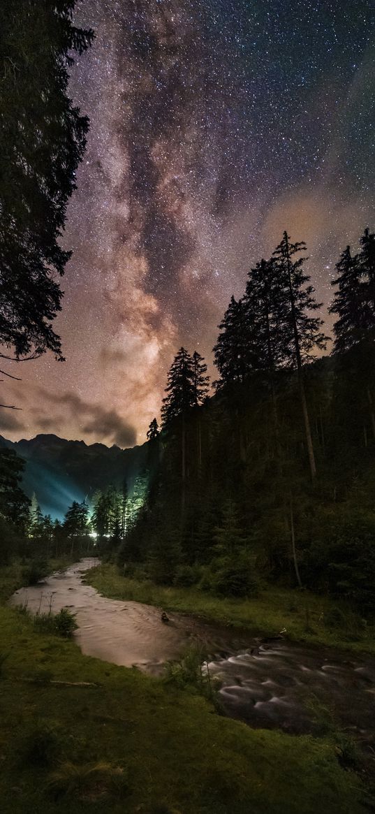 river, forest, starry, sky, galaxies, milky way