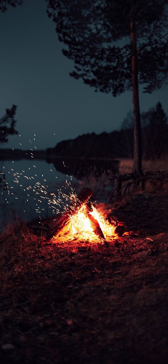 bonfire, fire, sparks, forest, lake, sky