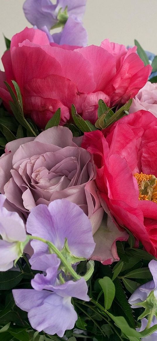 roses, flowers, buds, flower, composition, tenderness