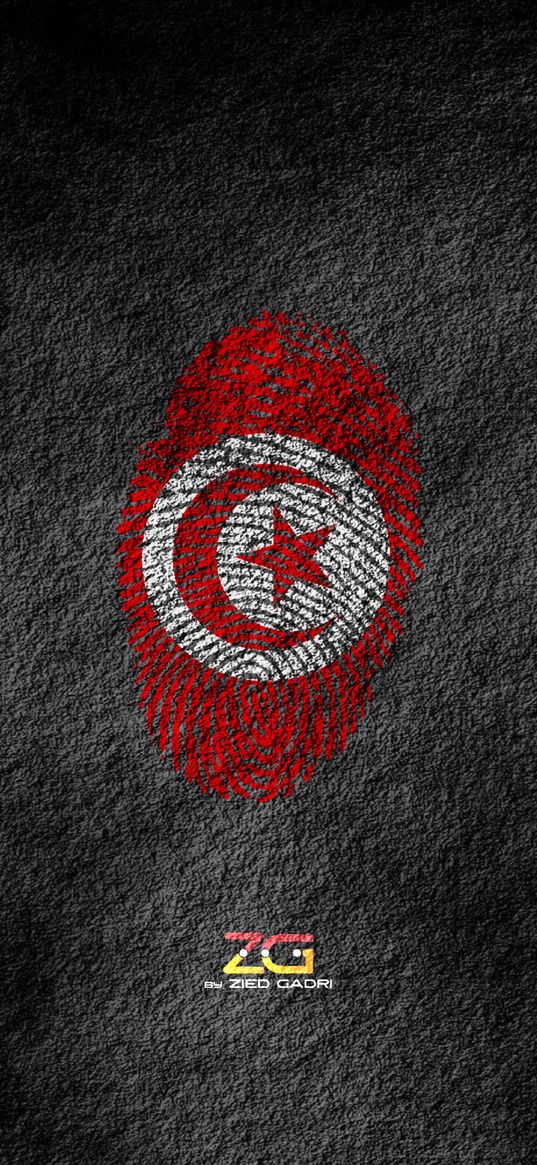 tunisia, flag, fingerprint, red