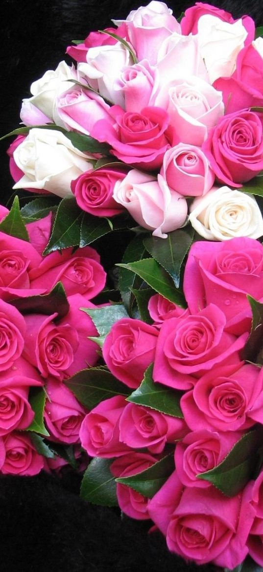 roses, flowers, bouquets, three, drop, freshness, appearance, beauty