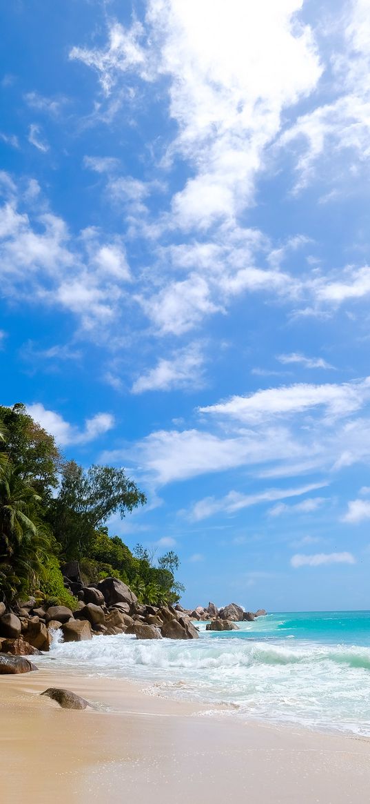 shore, ocean, waves, palm trees, tropics