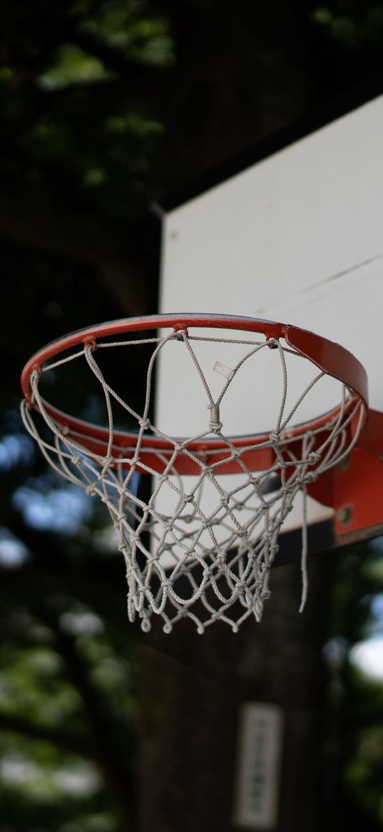 basketball hoop, basketball, net, blur, sports