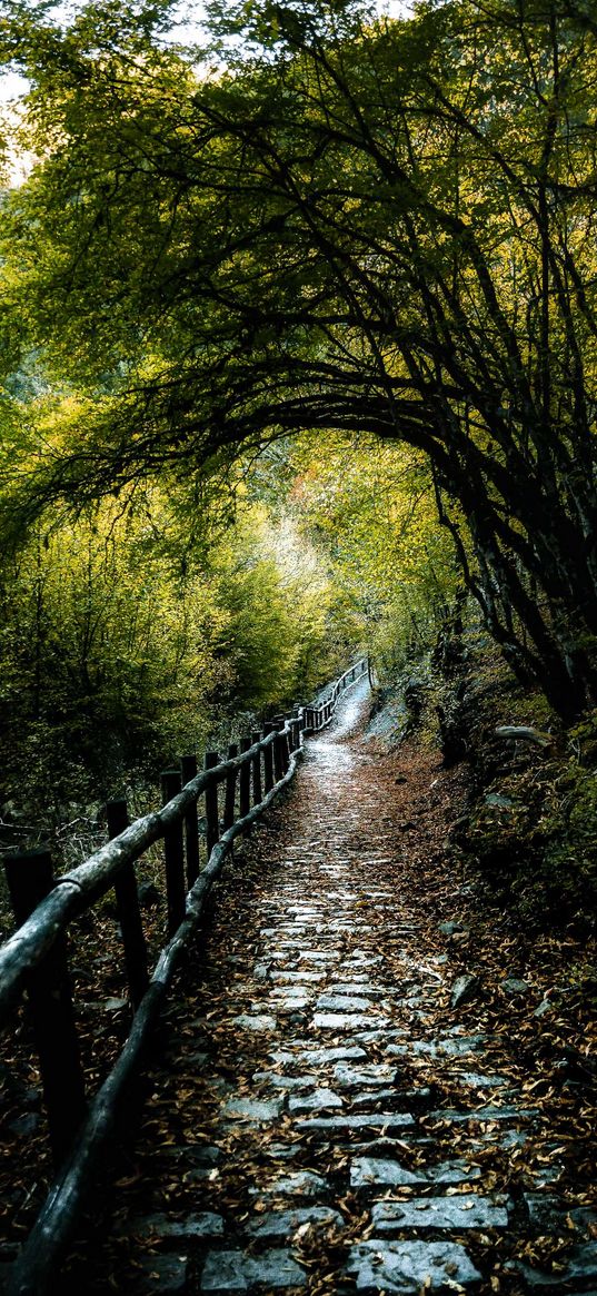 walkway, green, nature