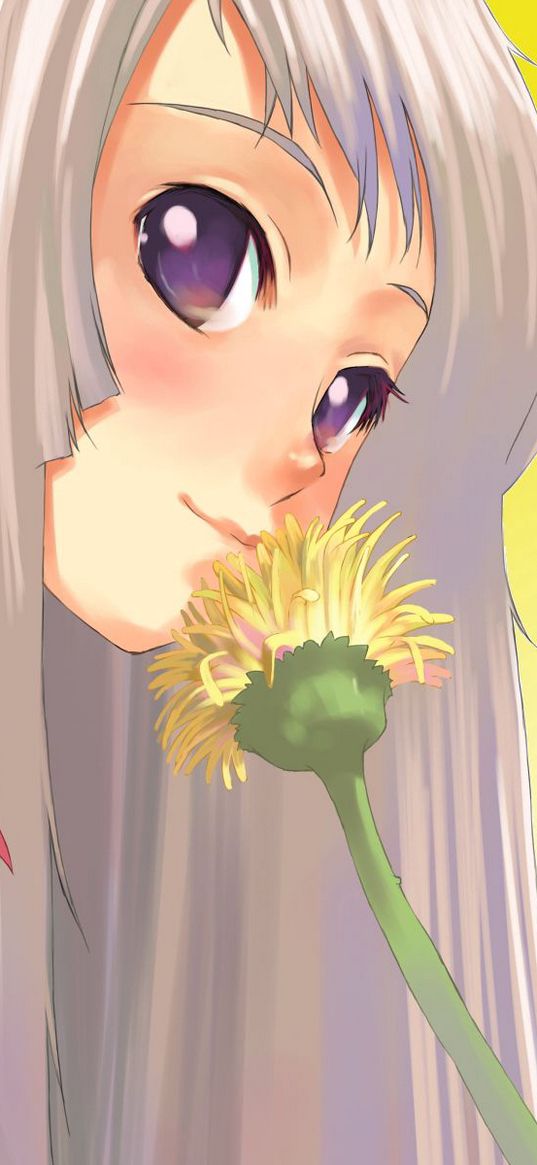 girl, blonde, flower, dandelion, close-up