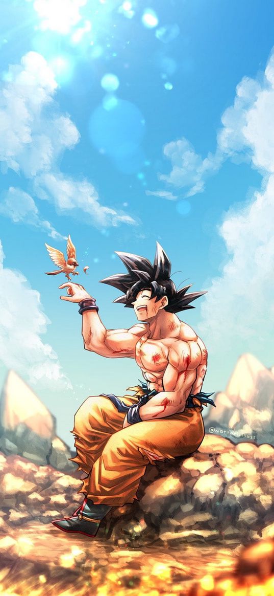 goku, dragon ball, anime, character, stone, bird, art