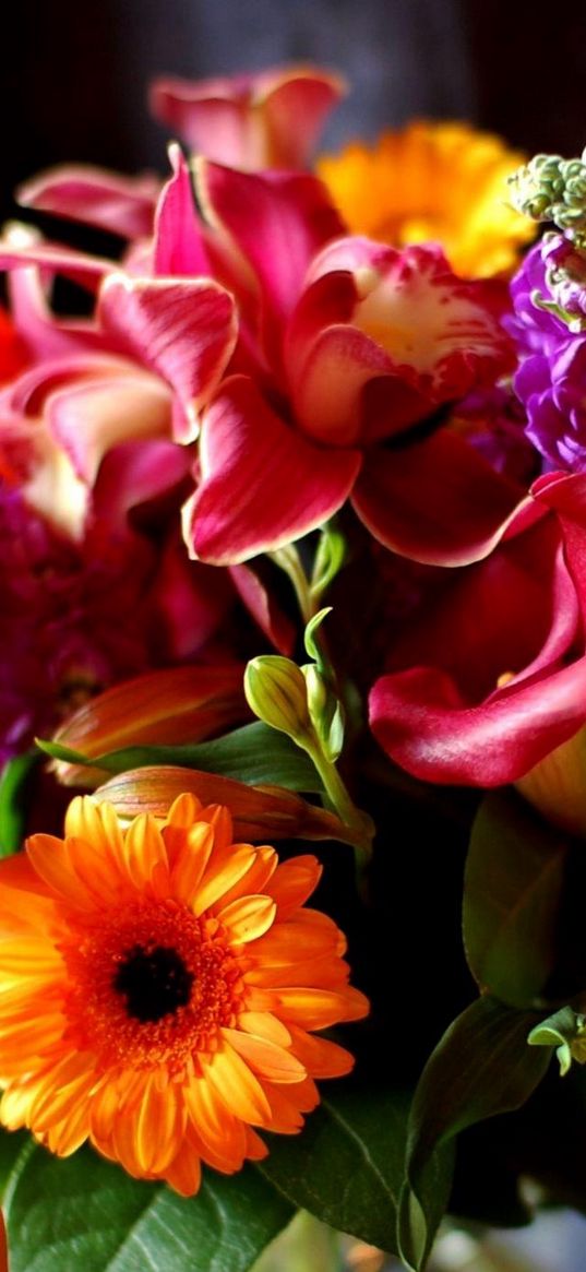 gerbera, calla lilies, lily, flowers, bouquet, decoration, close-up