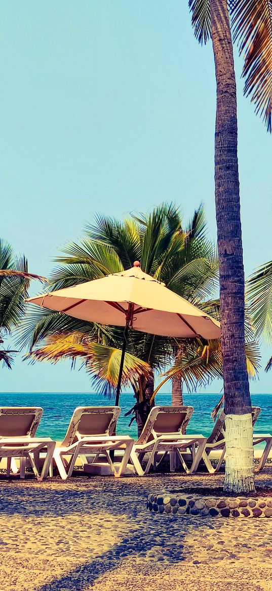 beach, delicious, sea, vacation, bluesky, palm, rest