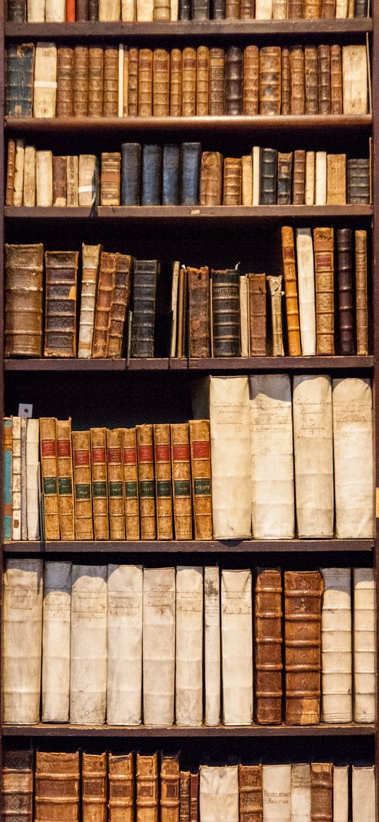 books, old, library, shelves, cupboard