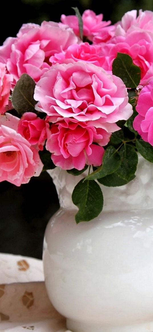 roses, flowers, flower, pitcher, table