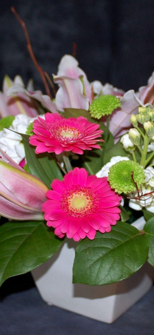 gerbera, flowers, buds, flower, vase, composition