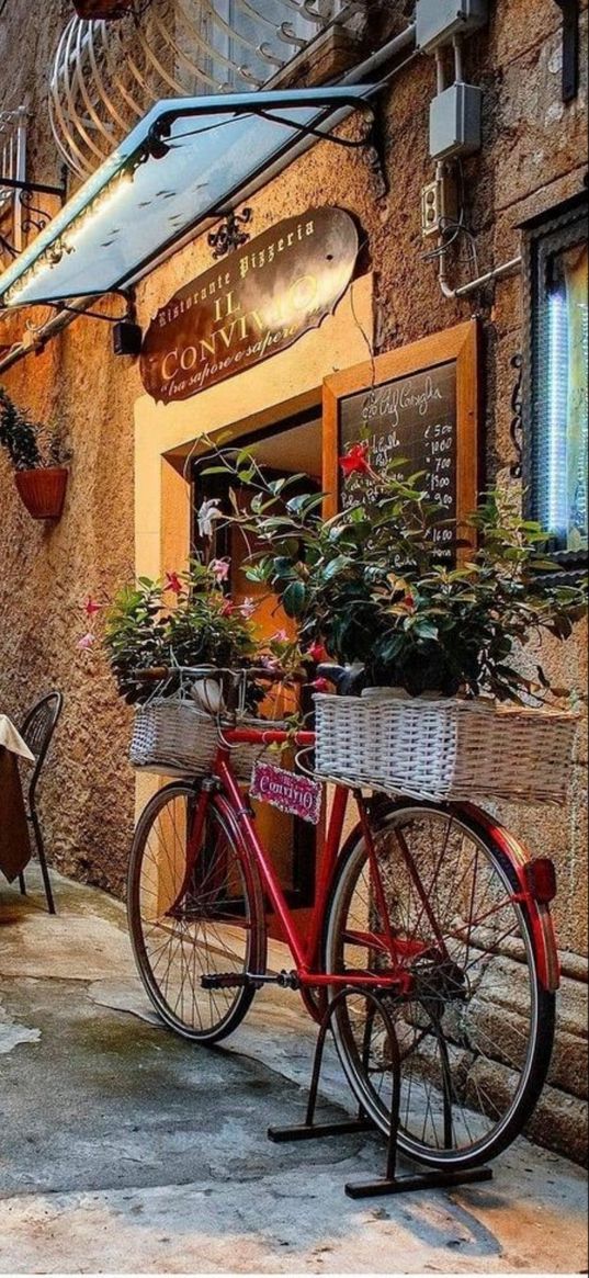 cafe, bicycle, flowers, street, evening, italy