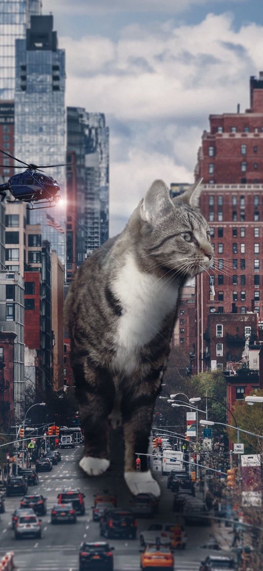 cat, helicopter, road, cars, street, houses, city, huge, art