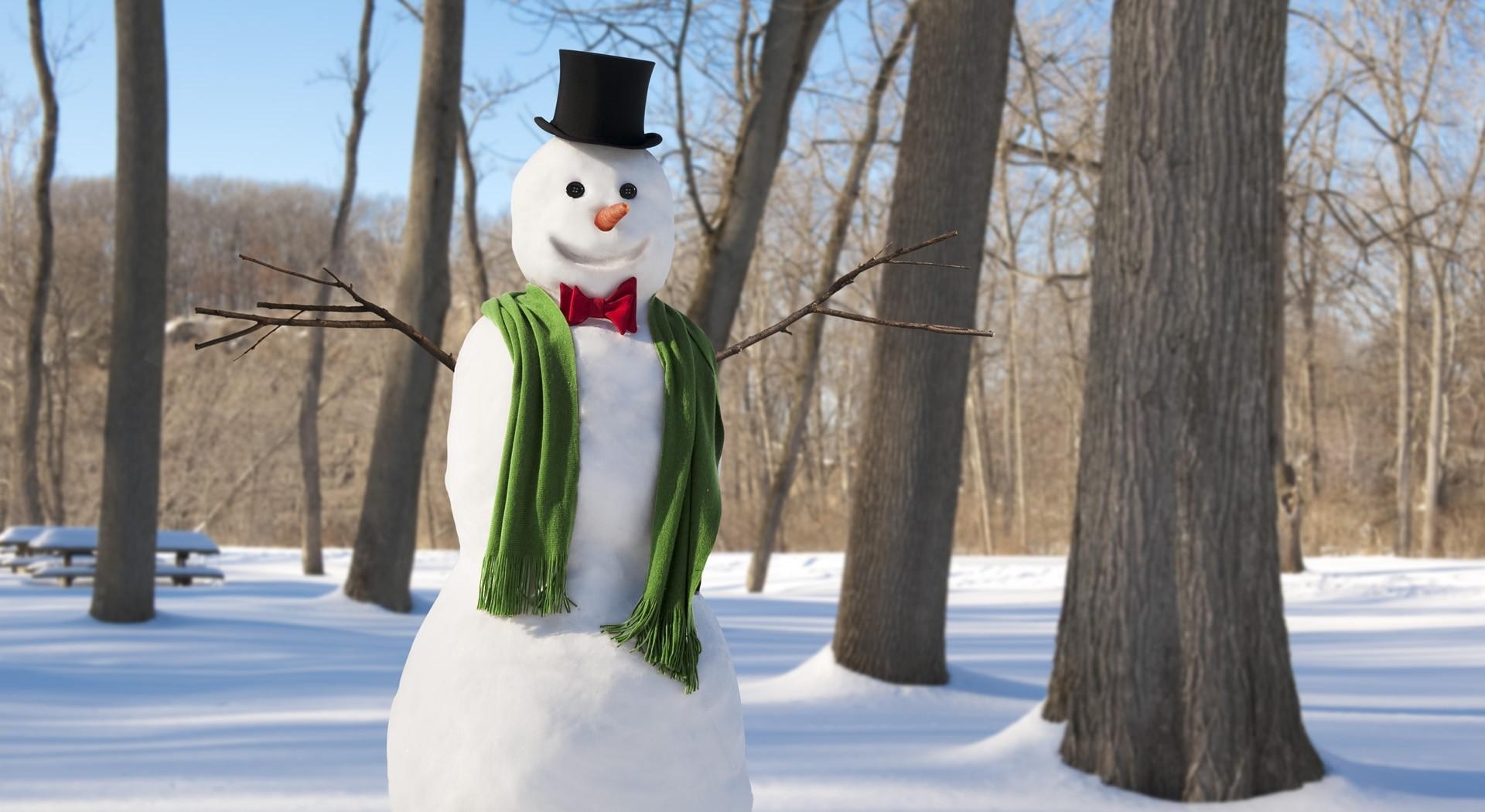 new year, christmas, winter, snowman, scarf, trees, snow