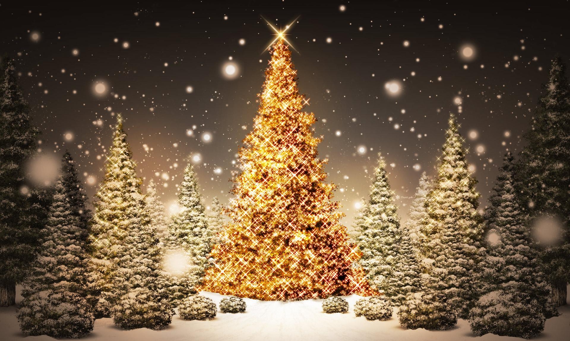 new year, christmas, trees, wood, card, snow, night, holiday