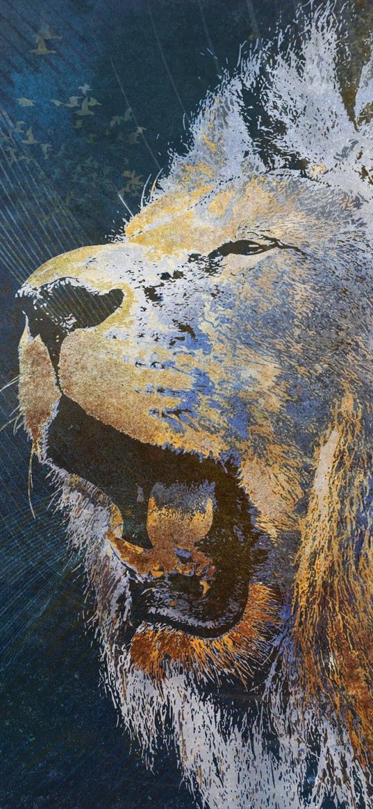 lion, grin, image, background