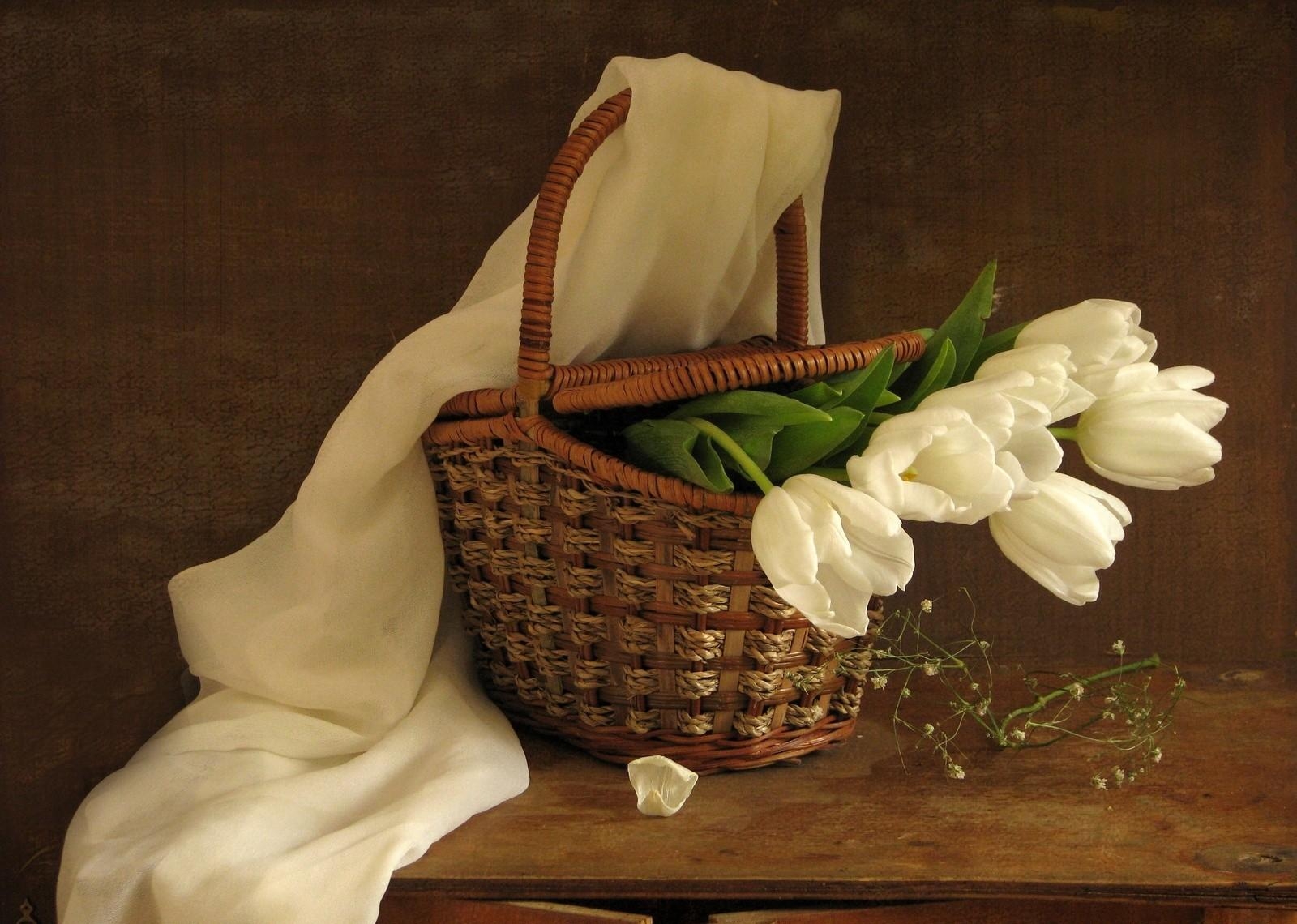 tulips, flowers, white, flower, basket, spring, scarf