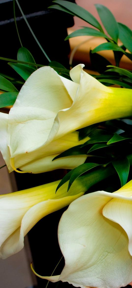 roses, calla lilies, flowers, bouquet, decoration, beautiful