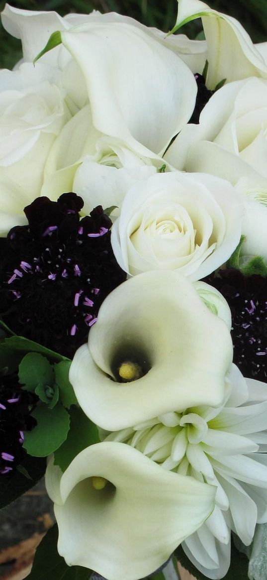 roses, calla lilies, white, flowers, bouquets, composition