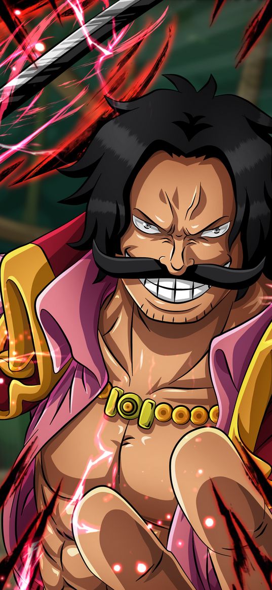 gol d roger, one piece, anime, character, pirate, art