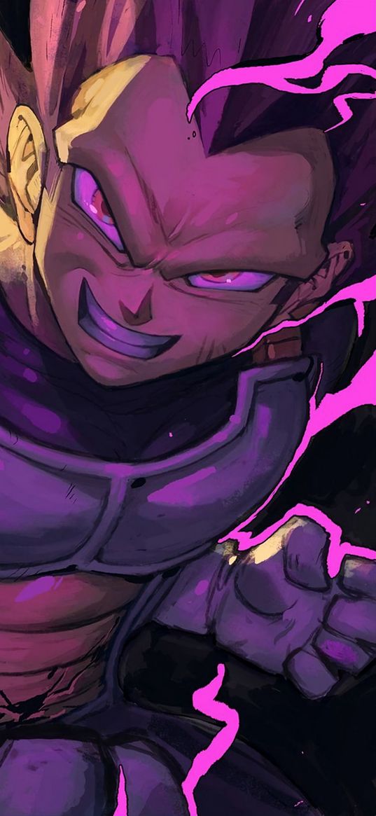 vegeta, purple, dragon ball, anime, evil, art