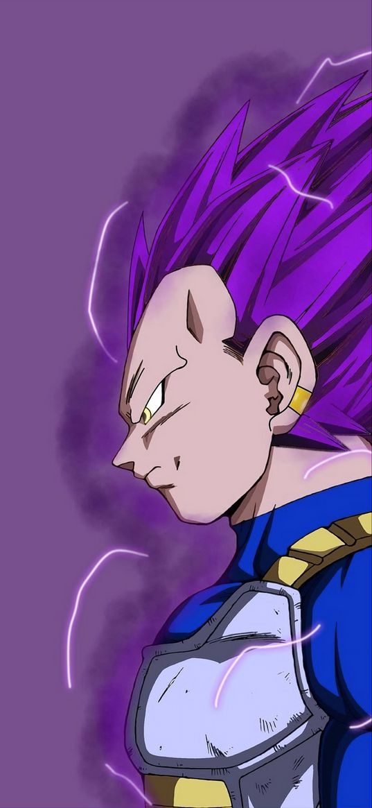 vegeta, dragon ball, anime, purple, god, evil, lightning, art